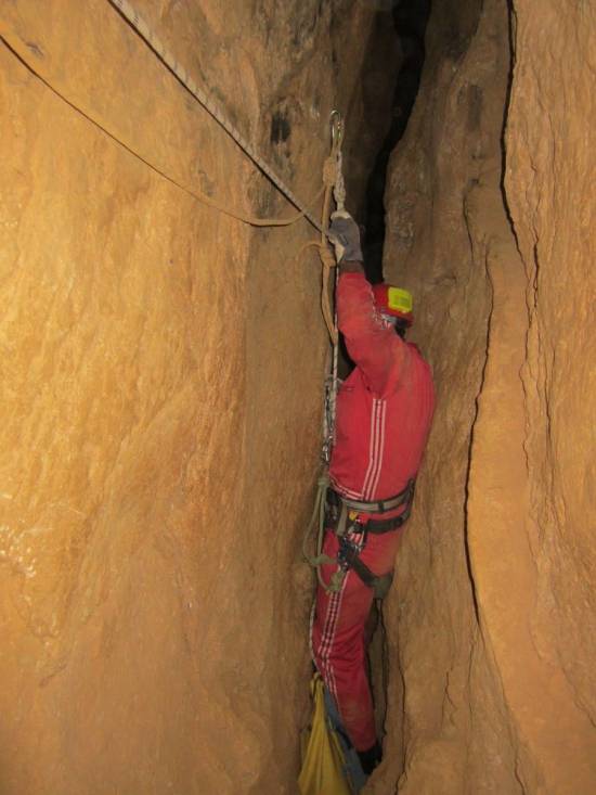 Galer&iacute;a Cavidad