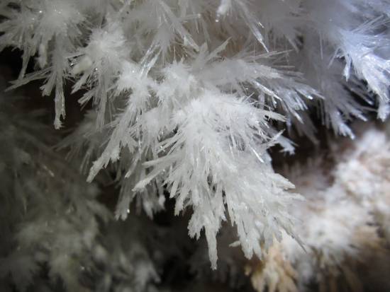 Galer&iacute;a Cavidad