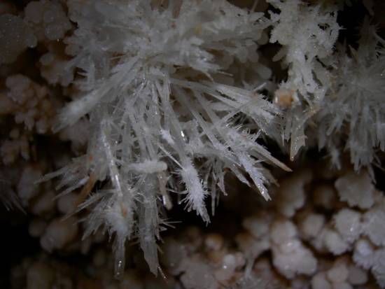 Galer&iacute;a Cavidad