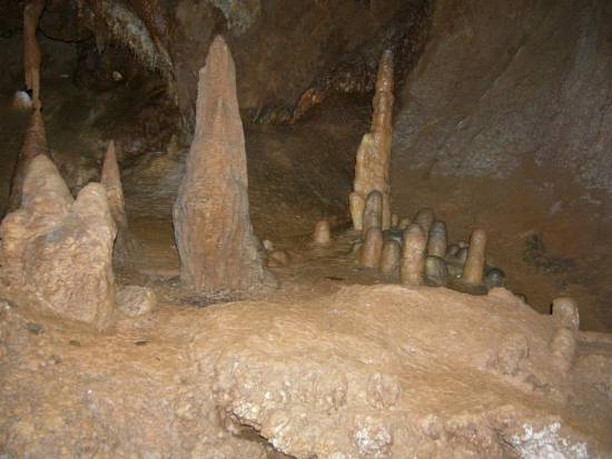 Galer&iacute;a Cavidad