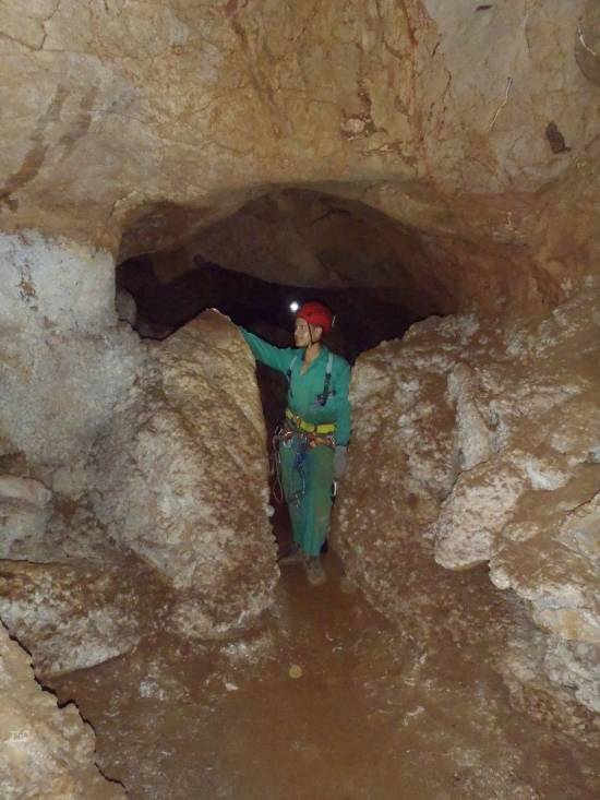 Galer&iacute;a Cavidad