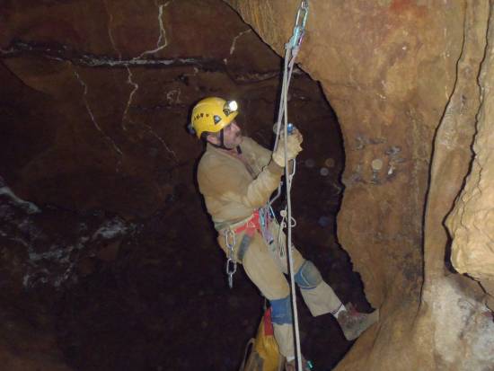 Galer&iacute;a Cavidad