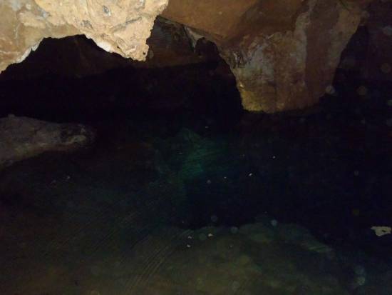 Galer&iacute;a Cavidad