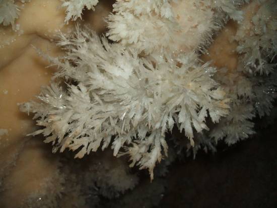 Galer&iacute;a Cavidad