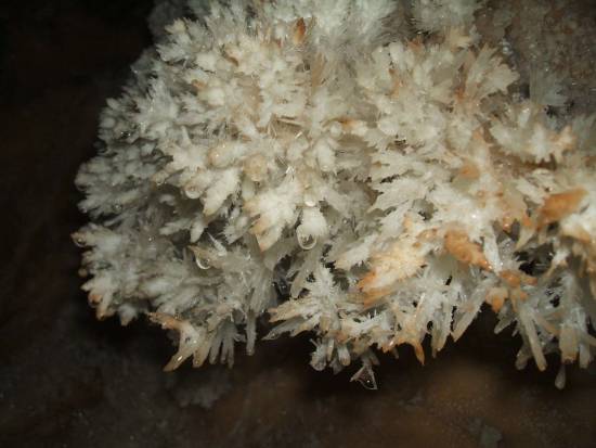 Galer&iacute;a Cavidad