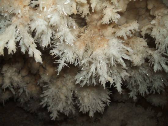 Galer&iacute;a Cavidad