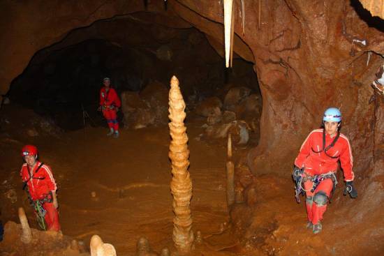 Galer&iacute;a Cavidad