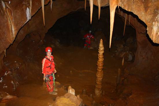 Galer&iacute;a Cavidad