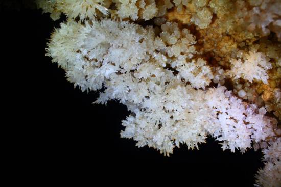 Galer&iacute;a Cavidad