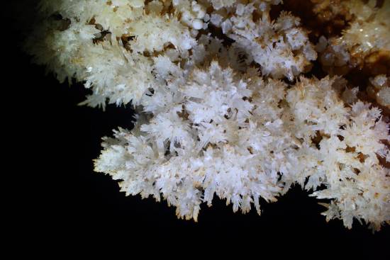 Galer&iacute;a Cavidad