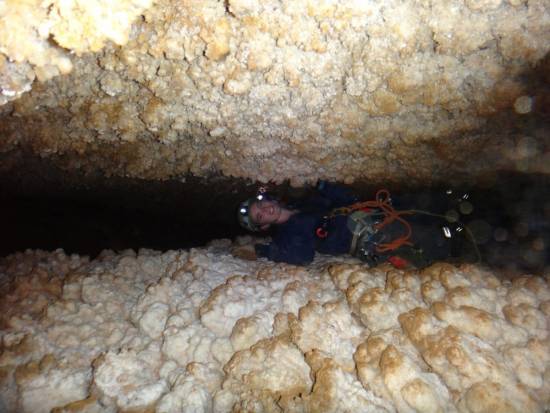 Galer&iacute;a Cavidad