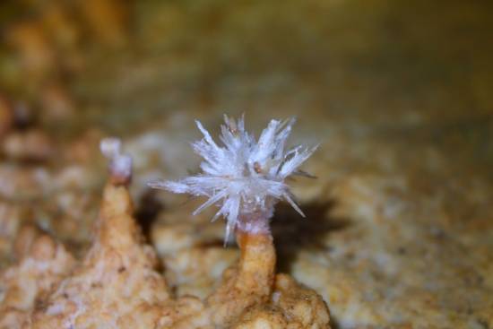 Galer&iacute;a Cavidad