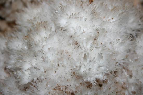 Galer&iacute;a Cavidad