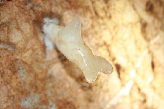 Galer&iacute;a Cavidad