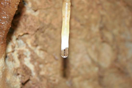 Galer&iacute;a Cavidad