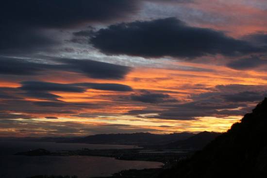 Galer&iacute;a Cavidad