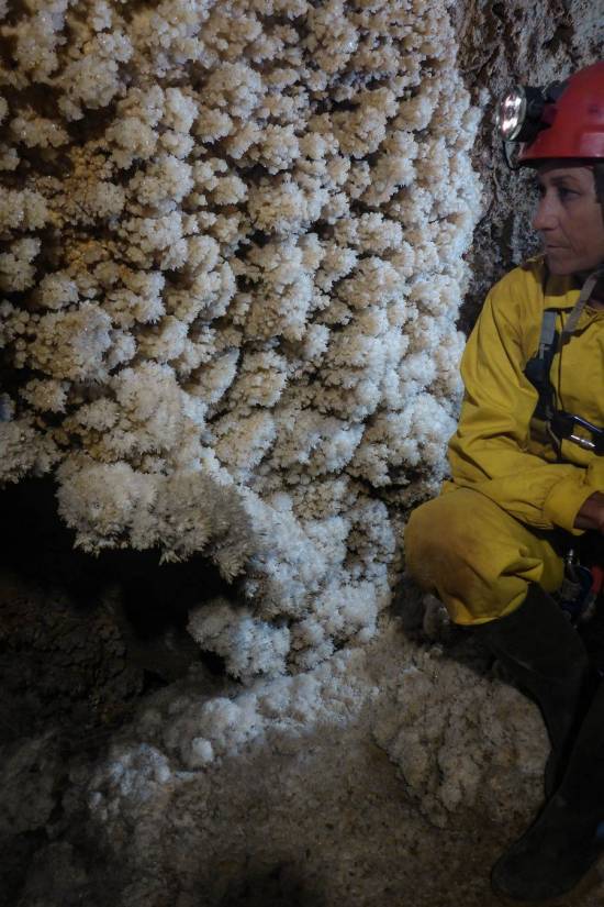 Galer&iacute;a Cavidad