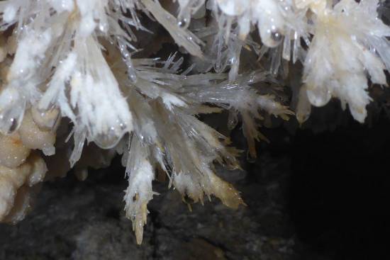 Galer&iacute;a Cavidad