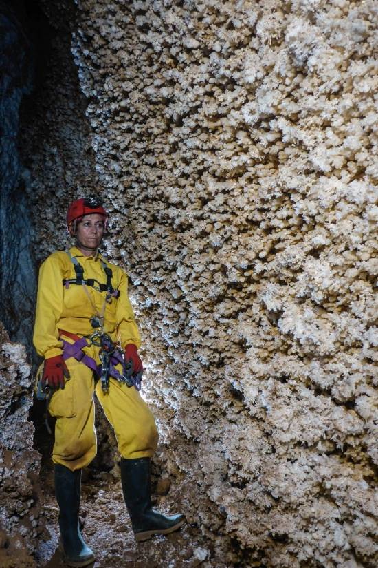 Galer&iacute;a Cavidad