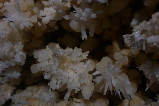 Galer&iacute;a Cavidad