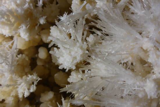 Galer&iacute;a Cavidad