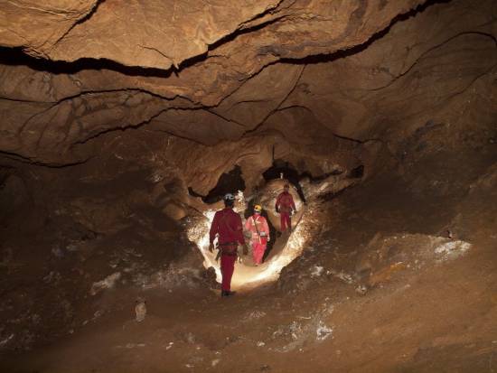 Galer&iacute;a Cavidad