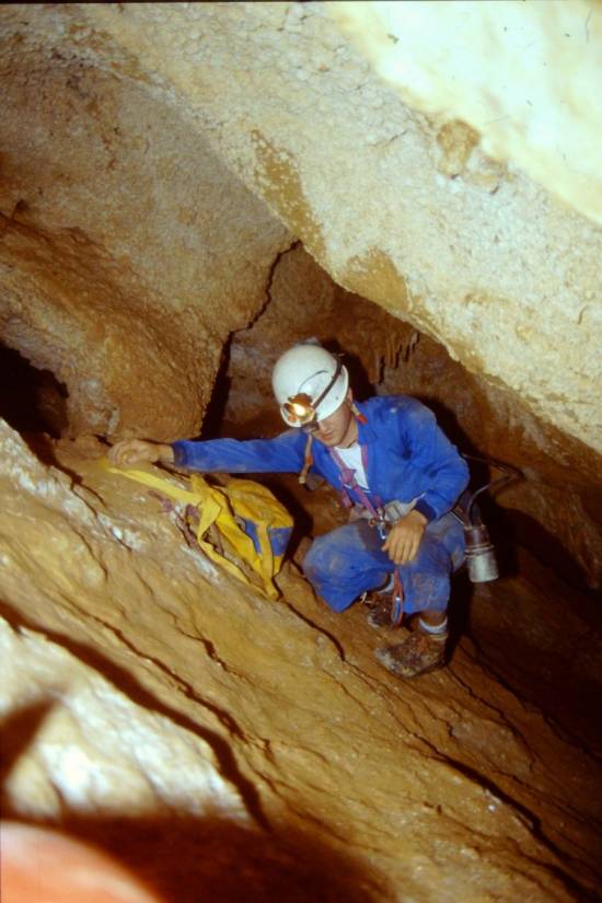 Galer&iacute;a Cavidad