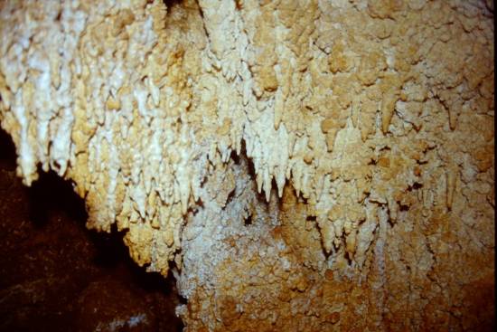 Galer&iacute;a Cavidad