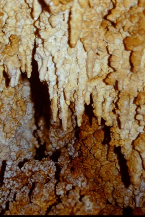 Galer&iacute;a Cavidad