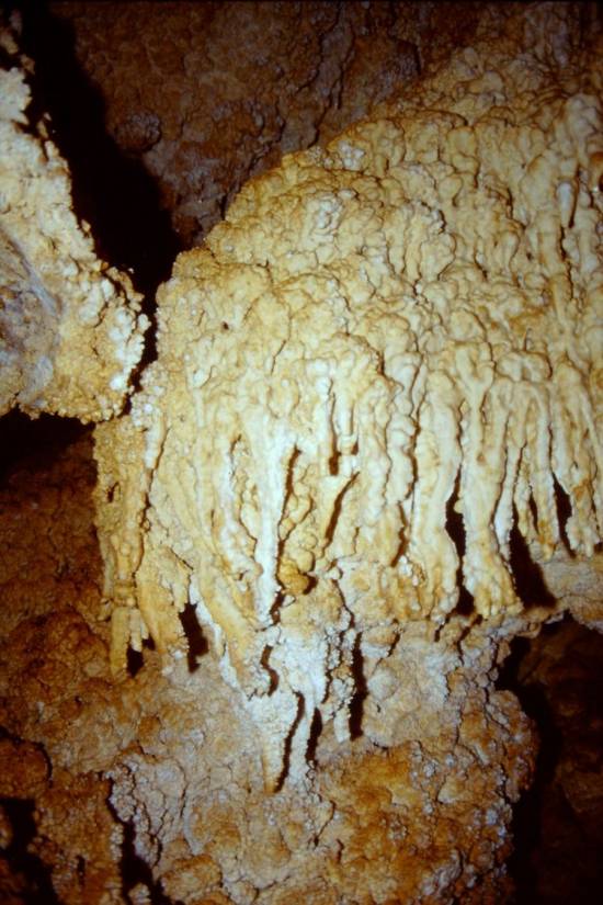 Galer&iacute;a Cavidad