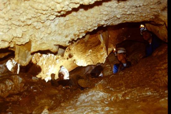 Galer&iacute;a Cavidad