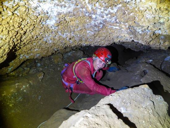 Galer&iacute;a Cavidad