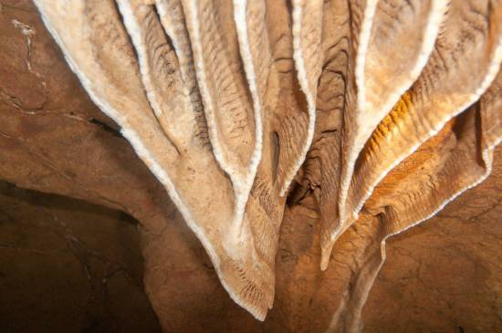 Galer&iacute;a Cavidad