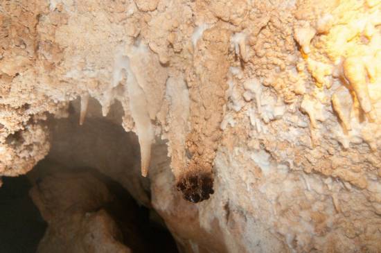 Galer&iacute;a Cavidad