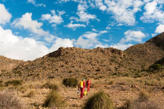 Galer&iacute;a Cavidad