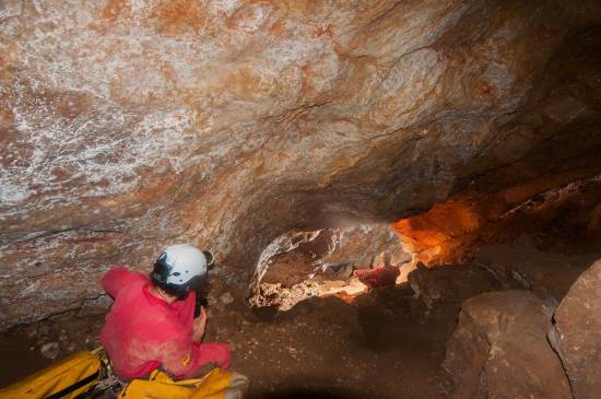 Galer&iacute;a Cavidad