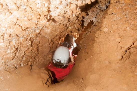 Galer&iacute;a Cavidad