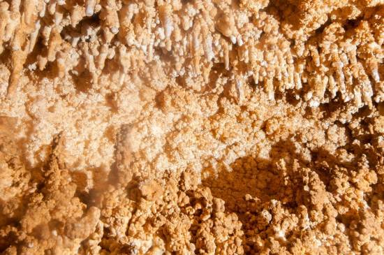 Galer&iacute;a Cavidad