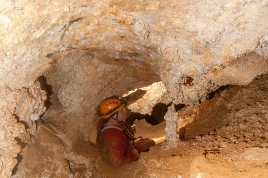 Galer&iacute;a Cavidad