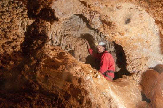 Galer&iacute;a Cavidad