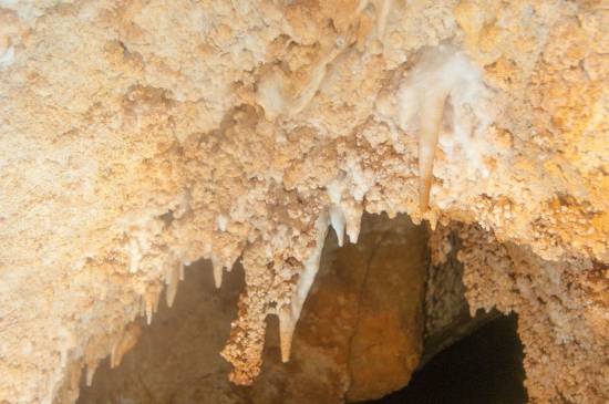 Galer&iacute;a Cavidad