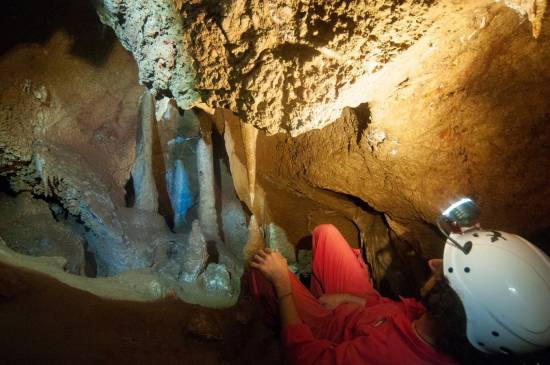 Galer&iacute;a Cavidad