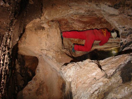 Galer&iacute;a Cavidad