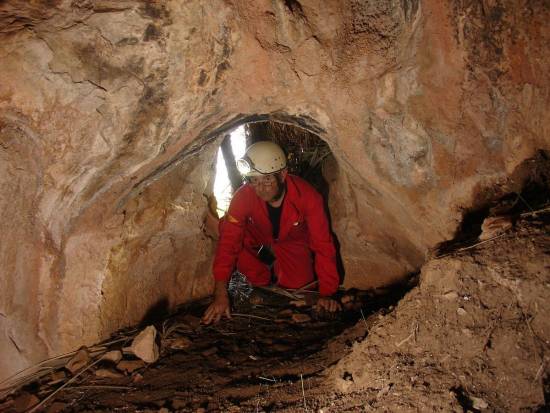 Galer&iacute;a Cavidad