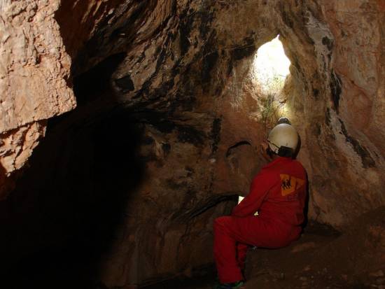 Galer&iacute;a Cavidad