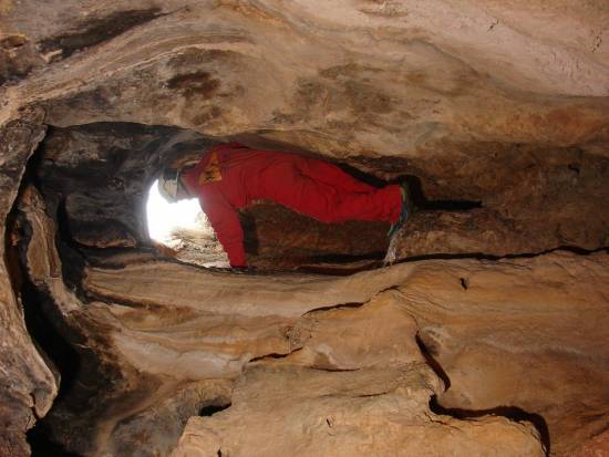 Galer&iacute;a Cavidad