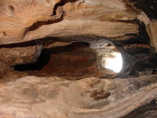 Galer&iacute;a Cavidad