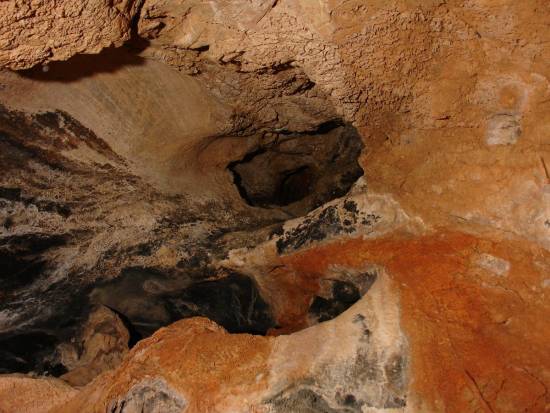 Galer&iacute;a Cavidad