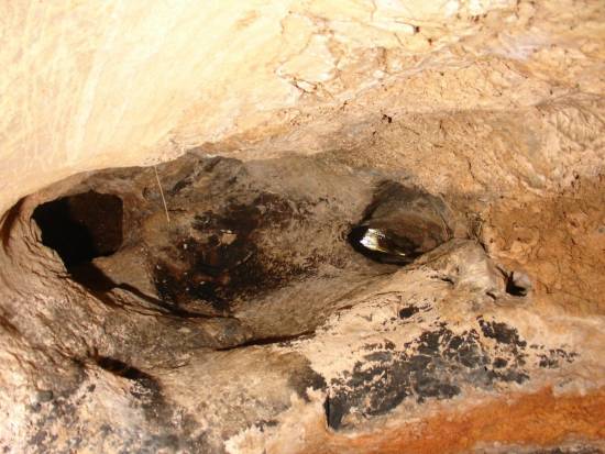 Galer&iacute;a Cavidad