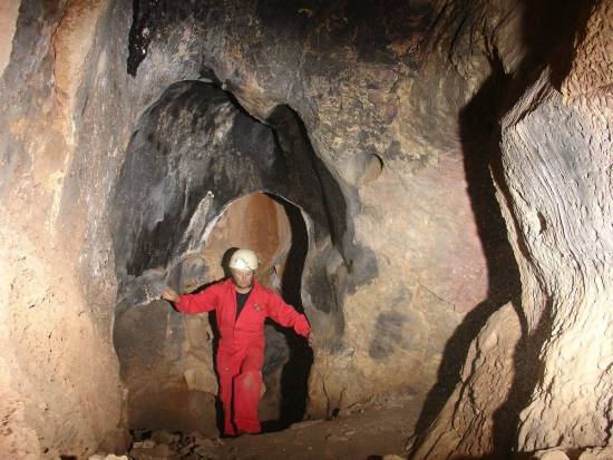 Galer&iacute;a Cavidad